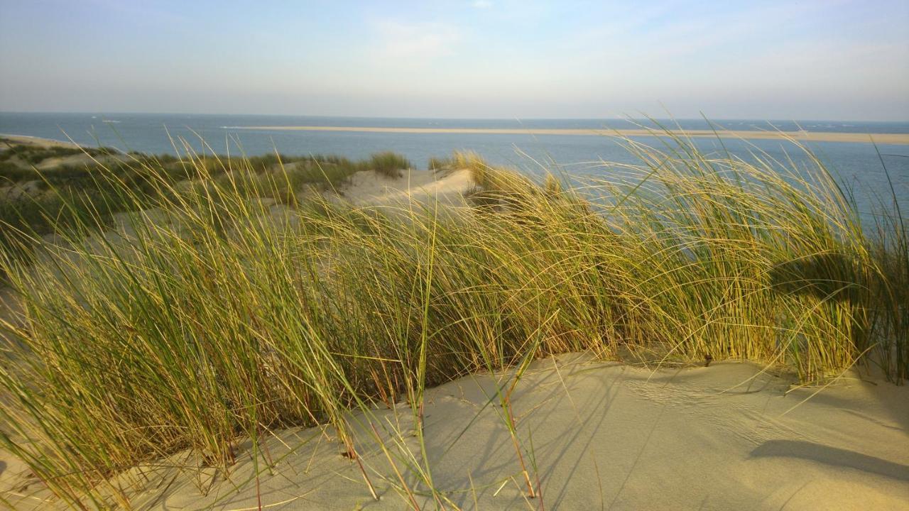 Cottage La Dune Avec Piscine Les Cigales Du Bassin A Гюжан-Местрас Екстер'єр фото